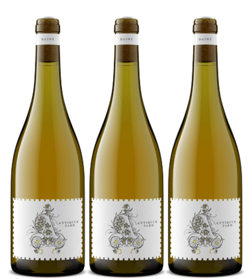 Antiquum Farm 3 Bottle Pack 'Daisy' Pinot Gris Willamette Valley 2023 750ml